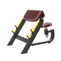 Скамья Скотта Protrain BPL144