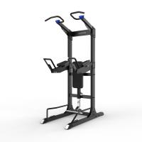 Турник/брусья/пресс Protrain GT-PTR (опция GT-PTR-PDA в комплекте)