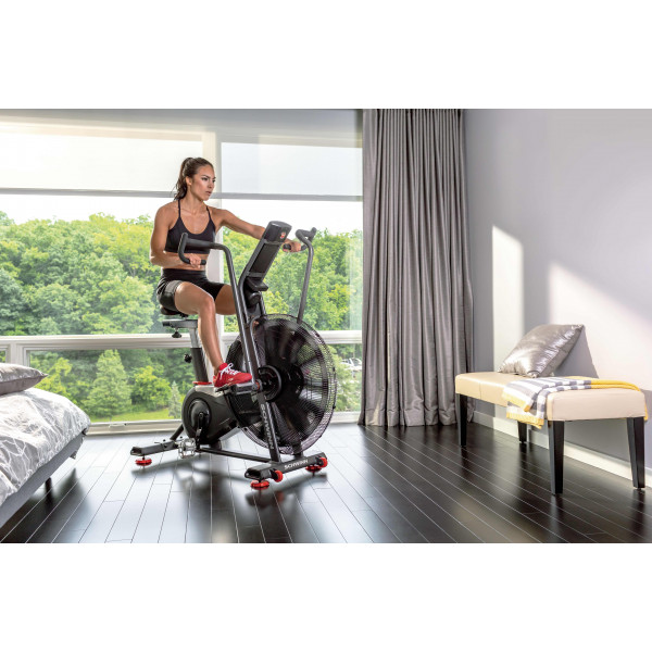 Велотренажер Schwinn Airdyne AD8