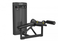 Сгибание ног лежа SPIRIT SP-4318