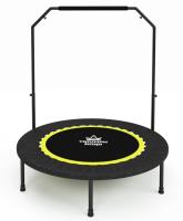 Батут - тренажер Триумф Норд с ручкой 102 см