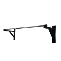 Турник настенный Protrain PU1207P (дефекты)