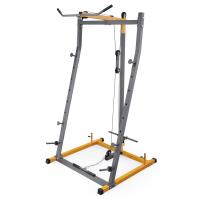 Стойка для штанги, тяга сверху и снизу DFC Y-GYM