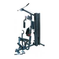 Многофункциональная силовая станция Protrain HG-APEX