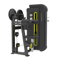 BRONZE GYM BW-3005 Дельта-машина