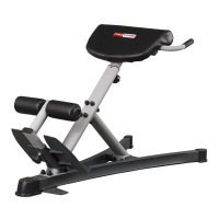 Гиперэкстензия Protrain PR-HE (дефекты)