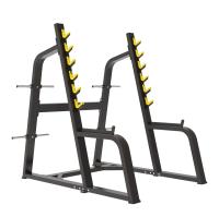 Стойка для жима и приседаний Protrain BPL150