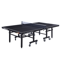 Профессиональный Теннисный стол Scholle TT830