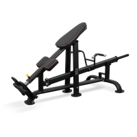 BRONZE GYM PL-1718 Т-образная тяга