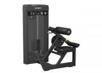 Разгибание спины Spirit SP-4310