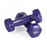 Гантель неразборная 1 кг. винил (2 штуки) VictoryFit VF-DV010-2