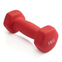 Гантель неразборная гексагональная неопрен  1 кг (красная) VictoryFit VF-DHN010-R