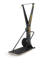 Лыжный тренажер Hasttings EXPERIENCE SKIERG