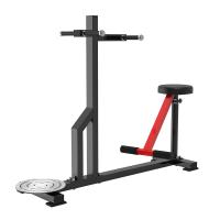 Станция для торса Protrain PP195