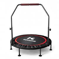 Батут для фитнеса DFC KENSONE 48" BSD-48-Black с поручнем