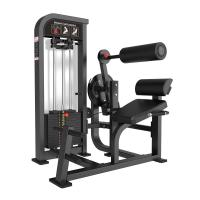 Скручивания/разгибание спины Protrain CP136