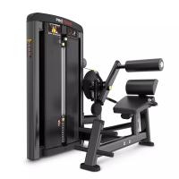 Разгибание спины Protrain LFS118