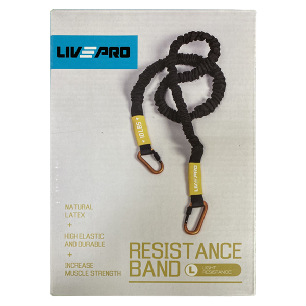 Эспандер с карабином LivePro LP8401 L