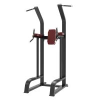 Турник/брусья/пресс Protrain BPL192