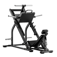 Жим ногами под углом 45 градусов BRONZE GYM RAVE RV25