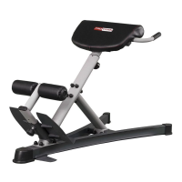 Гиперэкстензия Protrain PR-HE (дефекты)