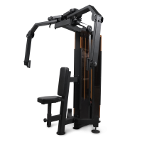 Батерфляй/Задние дельты профессиональный BRONZE GYM PARTNER ML-810