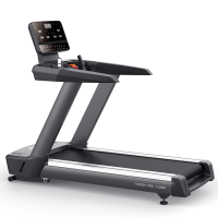 Беговая дорожка профессиональная BRONZE GYM T1000M PRO TURBO (new)