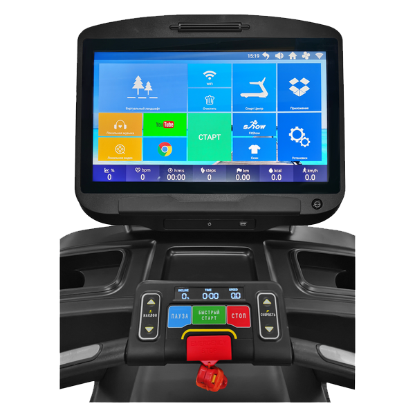 Беговая дорожка CardioPower профессиональный (PRO) CT550 – V12T